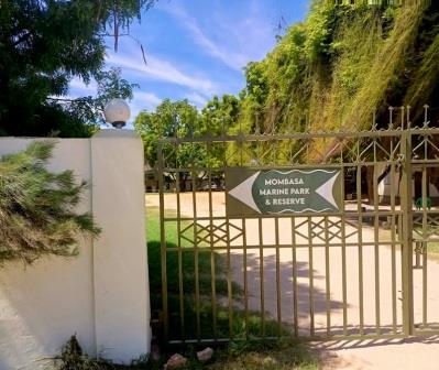Mombasa Marine Park（蒙巴萨海洋公园）-非行家旅行-Africa Wild Wander