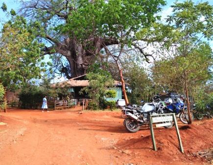 Marimanti Baobab Lodge（马里曼蒂猴面包树旅馆）-非行家旅行-Africa Wild Wander