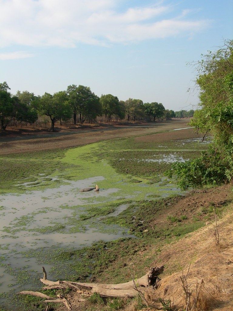 Lake Shakababo(水系 / 湖泊 / 海岸)-非行家旅行-Africa Wild Wander