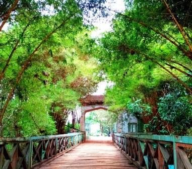 Savona Isle Resort（萨沃纳岛度假酒店）-非行家旅行-Africa Wild Wander