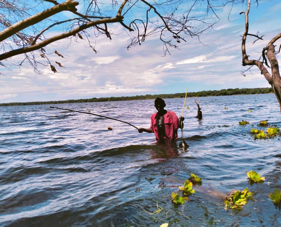 Lake Kenyatta（水系 / 红树林）-非行家旅行-Africa Wild Wander