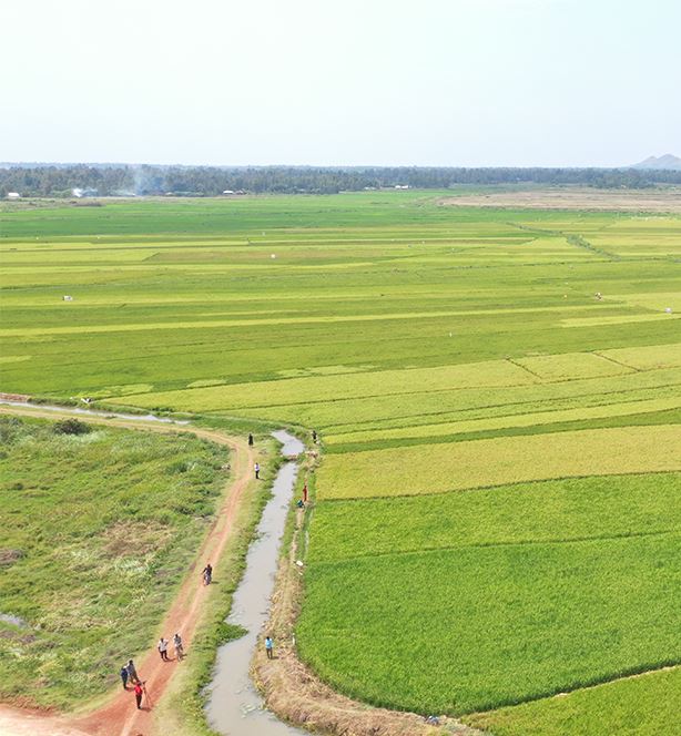 Bunyala Rice Scheme（水系 / 湖泊 / 海岸）-非行家旅行-Africa Wild Wander