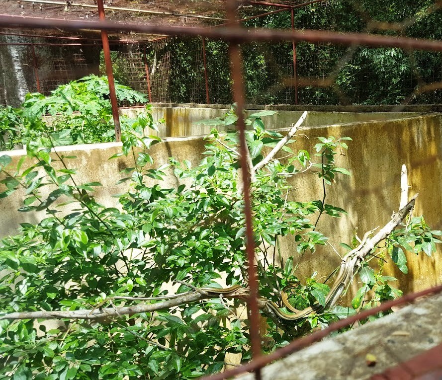 Kipepeo Butterfly Farm（自然景观 / 徒步）-非行家旅行-Africa Wild Wander