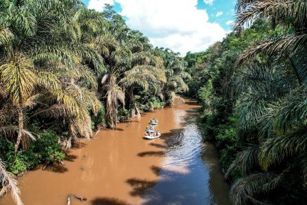 Savage Wilderness(萨加纳荒野探险营)-非行家旅行-Africa Wild Wander