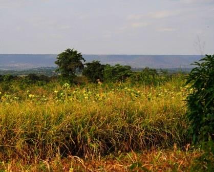 Yatta Plateau（亚塔高原）-非行家旅行-Africa Wild Wander