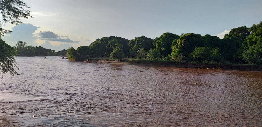 River Tana Bridge（水系 / 湖泊 / 海岸）-非行家旅行-Africa Wild Wander