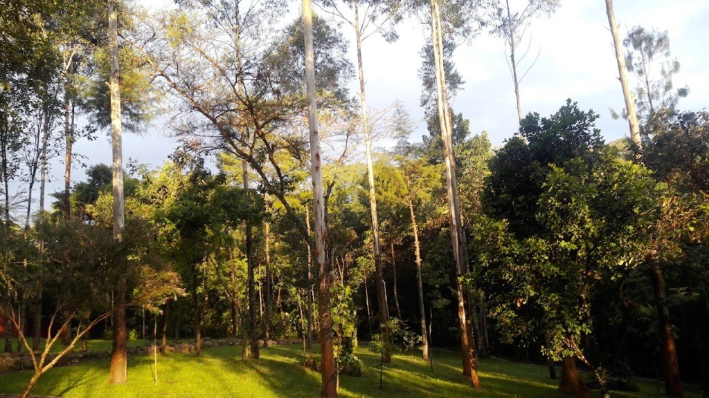 Busambuli Ecolodge（布桑布利生态旅馆）-非行家旅行-Africa Wild Wander