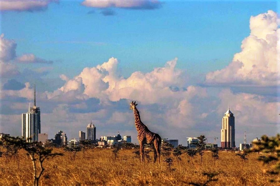 Aberdares National Park, Nairobi National Park, Tsavo National Parks, Shimba Hills National Park, Masai Mara National Reserve（水系 / 湖泊 / 海岸）-非行家旅行-Africa Wild Wander
