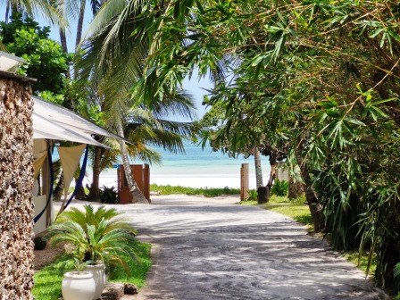 Sails Beach Bar（海滩 / 岛屿）-非行家旅行-Africa Wild Wander