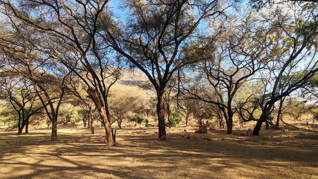 Camp Ndotto（住宿 / Safari 营地）-非行家旅行-Africa Wild Wander