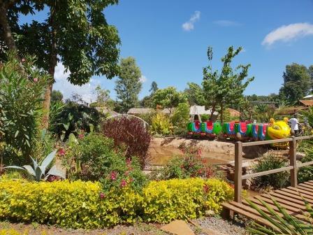 Cool Stream Garden(县域目的地)-非行家旅行-Africa Wild Wander