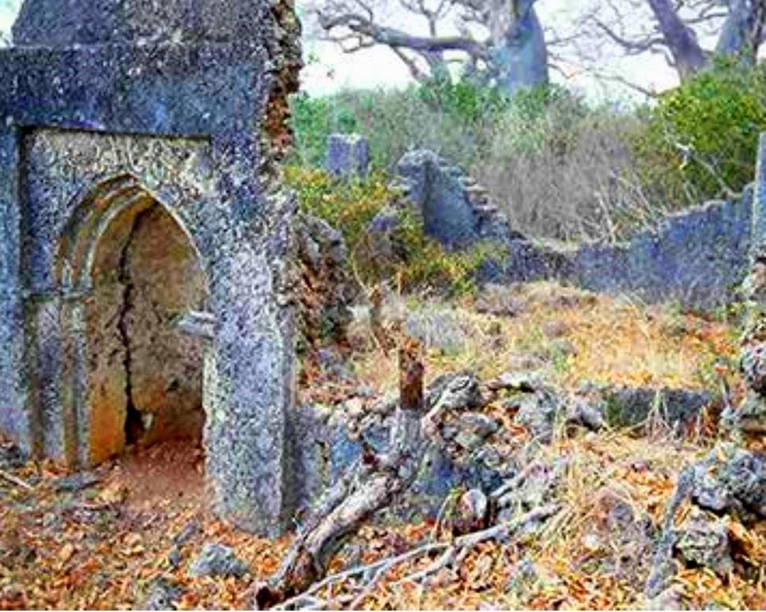 Ishakani Ruins（斯瓦希里遗产 / 博物馆）-非行家旅行-Africa Wild Wander