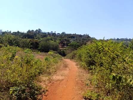 Ilovoto Falls(山地 / 岩石 / 瀑布 / 观景点)-非行家旅行-Africa Wild Wander