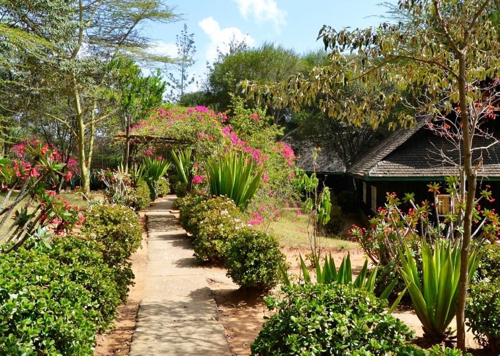 Maralal Safari Lodge（Maralal / Samburu 文化）-非行家旅行-Africa Wild Wander
