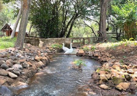 Timau River Lodge（住宿休闲 / 城市服务）-非行家旅行-Africa Wild Wander