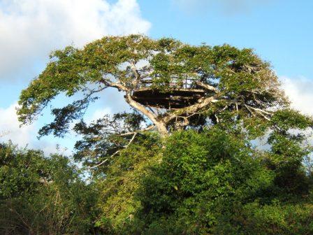 Amboseli National Park, Kakamega National Reserve, Arabuko-Sokoke Forest Reserve, Watamu Marine National Park, Malindi Marine National Reserve and Park（水系 / 湖泊 / 海岸）-非行家旅行-Africa Wild Wander