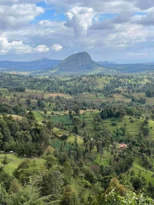 The Foothills（自然景观 / 徒步）-非行家旅行-Africa Wild Wander