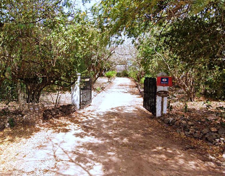 Neem Tree House（水系 / 湖泊 / 海岸）-非行家旅行-Africa Wild Wander