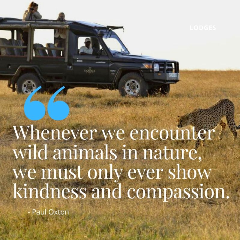 Unique Lodges in Kenya（历史遗产 / 博物馆）-非行家旅行-Africa Wild Wander