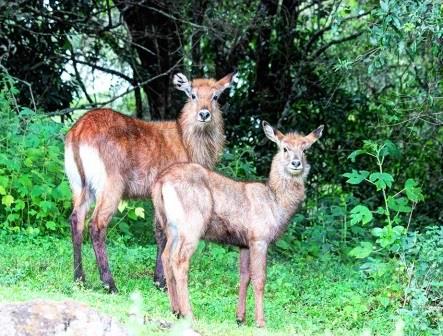 Ngwarisha Cave（恩瓜里沙洞穴）-非行家旅行-Africa Wild Wander