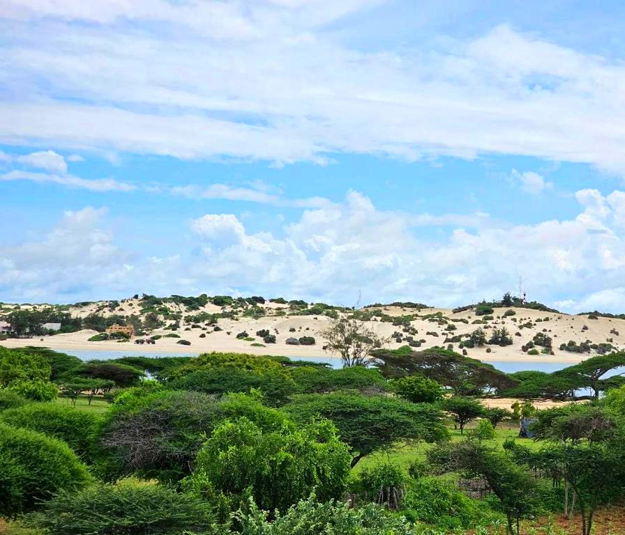 Ras Kitau Beach（海岛 / 海滩 / 船行体验）-非行家旅行-Africa Wild Wander