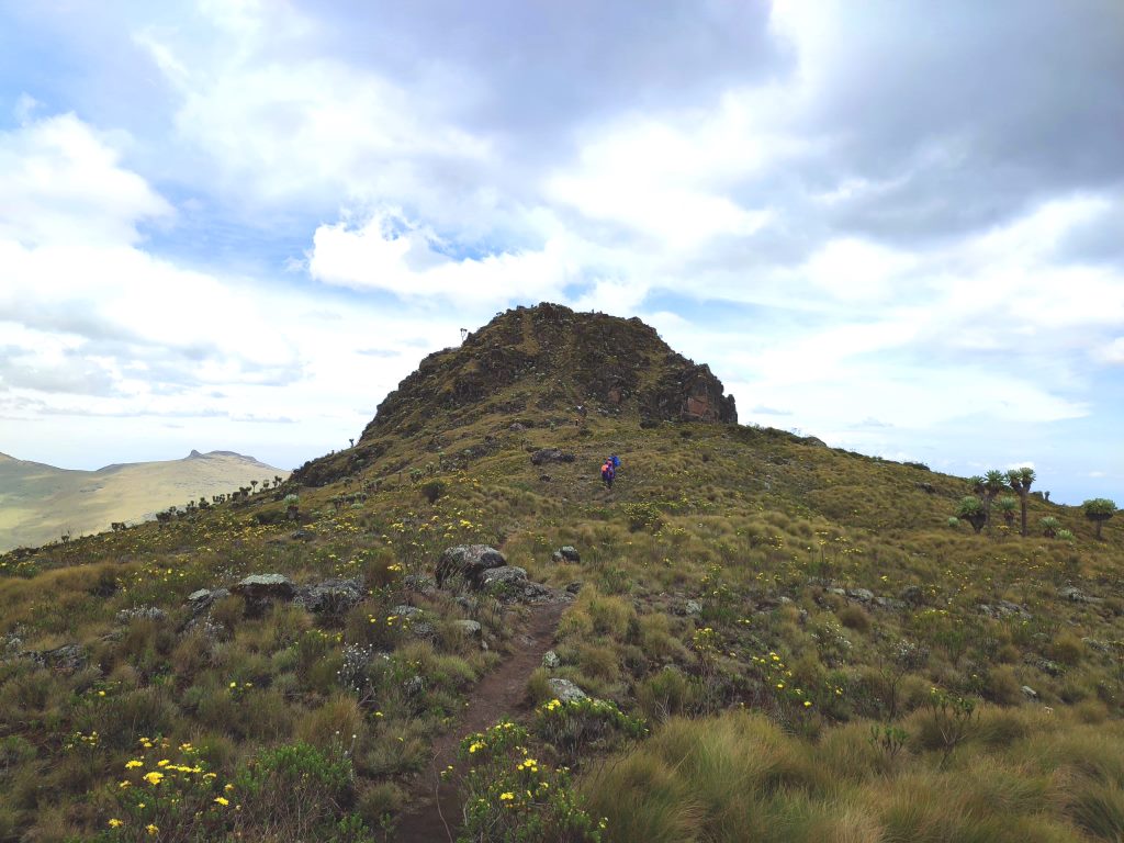 Rurimeria Hill Trail（鲁里梅里亚山徒步）-非行家旅行-Africa Wild Wander