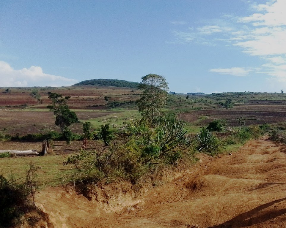 Trans-Mara Area（跨马拉区域）-非行家旅行-Africa Wild Wander