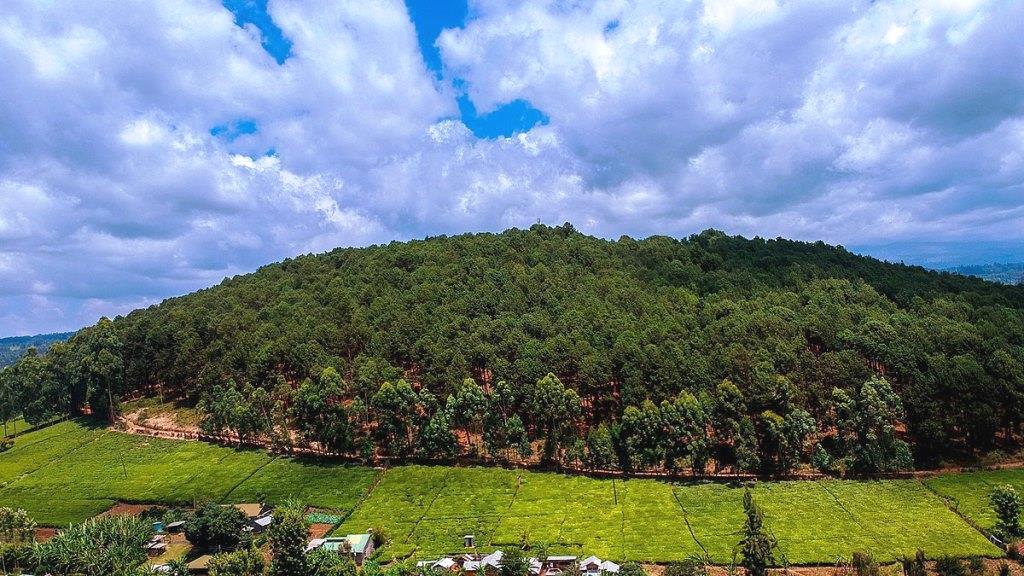 Kamuruana Hill(卡穆鲁阿纳山)-非行家旅行-Africa Wild Wander