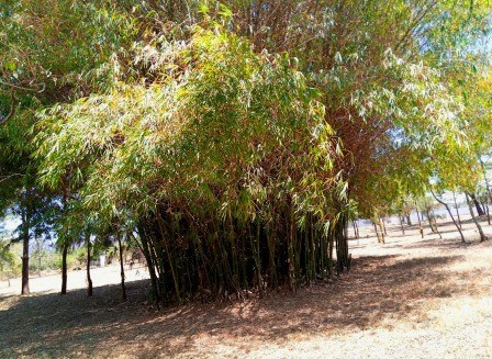 Njuri Ncheke Museum（恩朱里恩切克博物馆）-非行家旅行-Africa Wild Wander