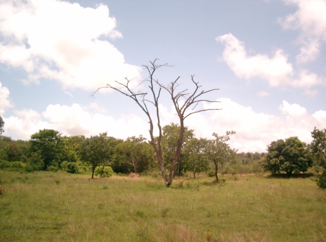 Mzima Fishing Camp(水系 / 湖泊 / 海岸)-非行家旅行-Africa Wild Wander