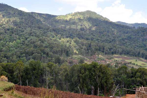 Kenya's Forests（水系 / 湖泊 / 海岸）-非行家旅行-Africa Wild Wander