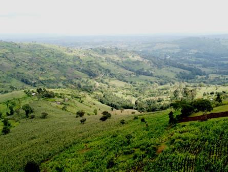 Trans Nzoia County（特兰斯恩佐亚县）-非行家旅行-Africa Wild Wander
