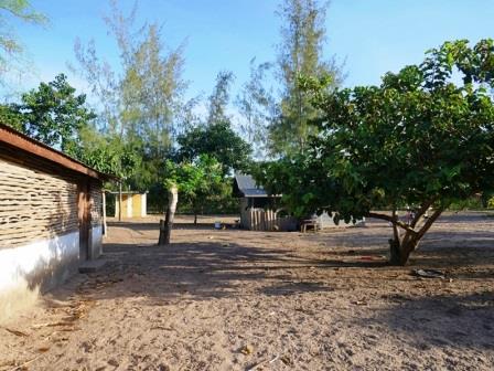 Shimba Hills Farm(保护区 / 野生动物)-非行家旅行-Africa Wild Wander