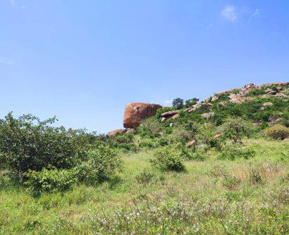 Lukenya Hills（卢肯亚山）-非行家旅行-Africa Wild Wander