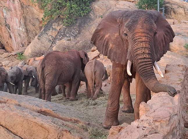 Meibai Conservancy（社区保护地 / 北部保护网络）-非行家旅行-Africa Wild Wander