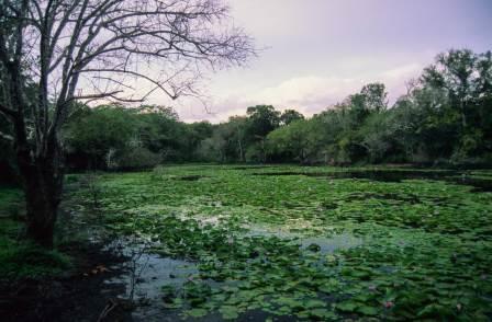Forests of Kenya（自然景观 / 徒步）-非行家旅行-Africa Wild Wander