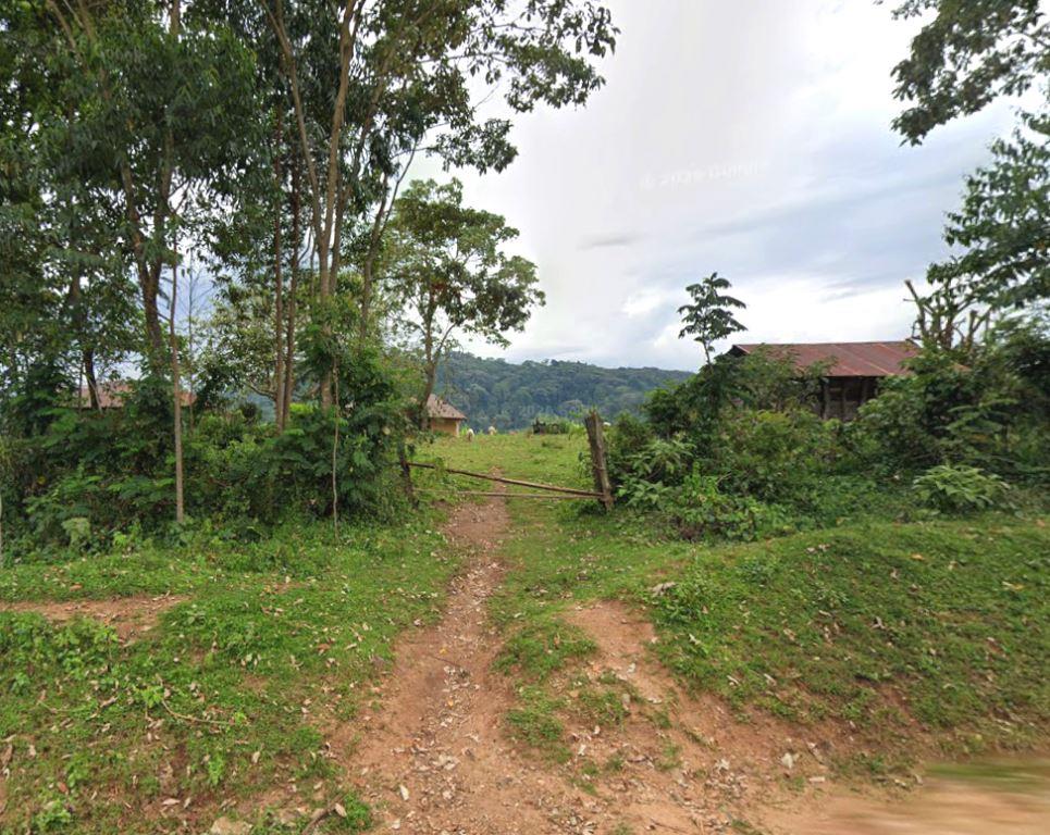 South Nandi Forest（南南迪森林）-非行家旅行-Africa Wild Wander