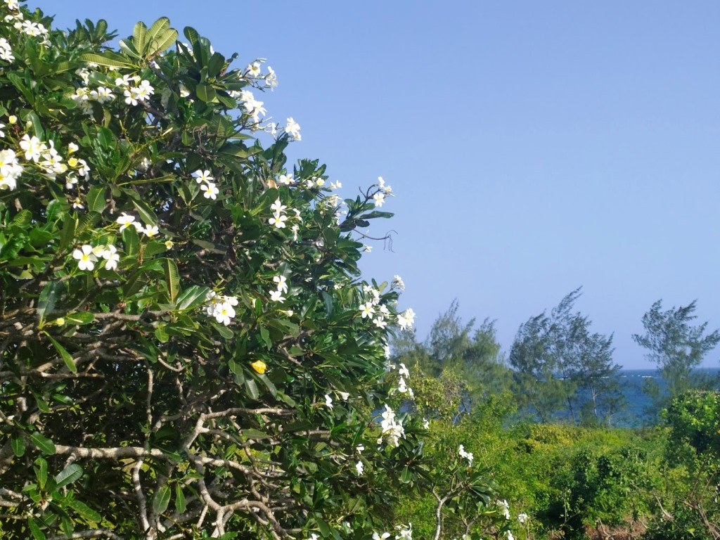 A Rocha Conservation（水系 / 湖泊 / 海岸）-非行家旅行-Africa Wild Wander