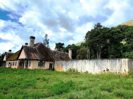 Buxton House（Happy Valley / 殖民遗产）-非行家旅行-Africa Wild Wander