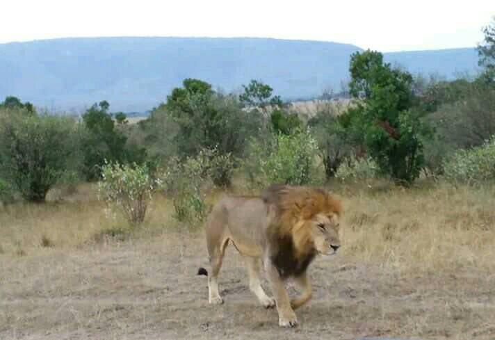 Kaptuya Conservancy-非行家旅行-Africa Wild Wander