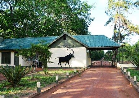 Shimba Hills National Reserve(辛巴山国家保护区)-非行家旅行-Africa Wild Wander