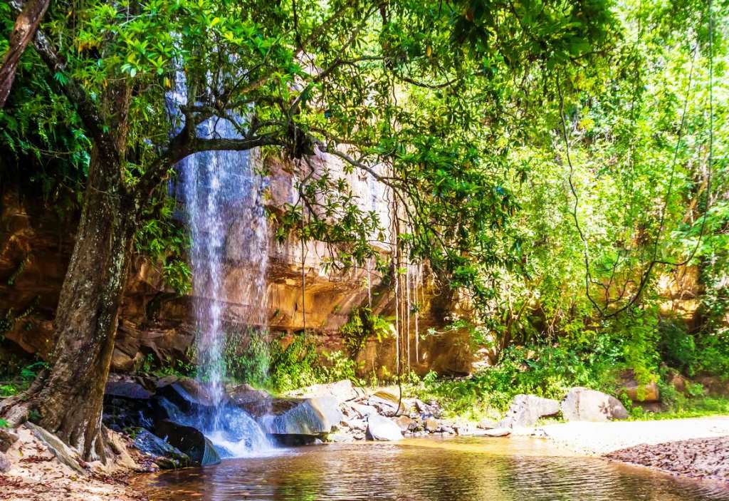 Sheldrick Falls（谢尔德里克瀑布）-非行家旅行-Africa Wild Wander