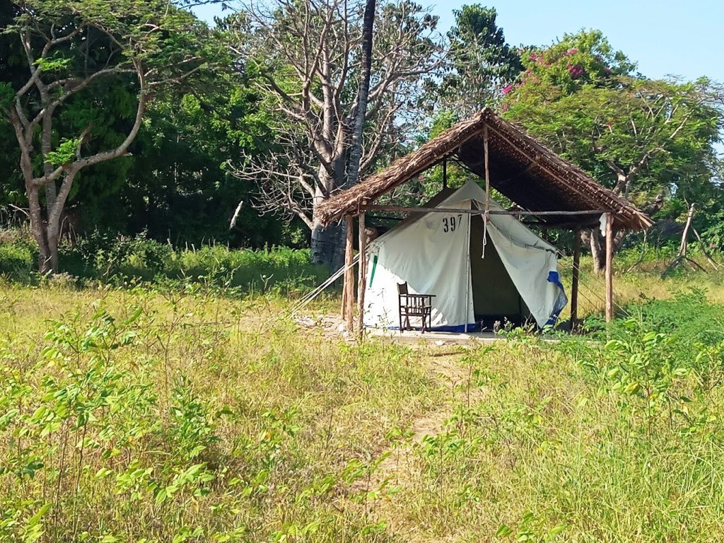 Kikambala Beach（水系 / 湖泊 / 海岸）-非行家旅行-Africa Wild Wander