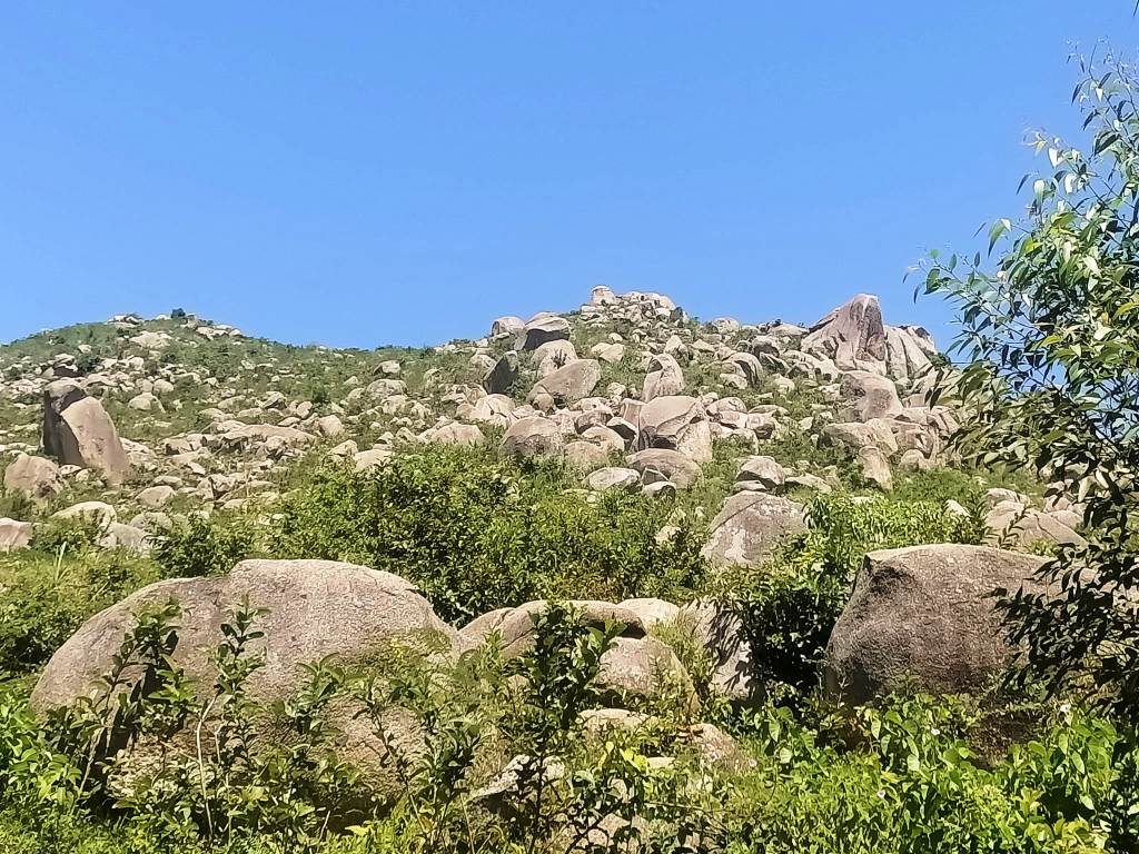 Maragoli Hills / Mungoma Hills（马拉戈利丘陵）-非行家旅行-Africa Wild Wander