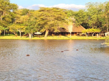 Voyager Ziwani Camp（住宿 / Safari 营地）-非行家旅行-Africa Wild Wander