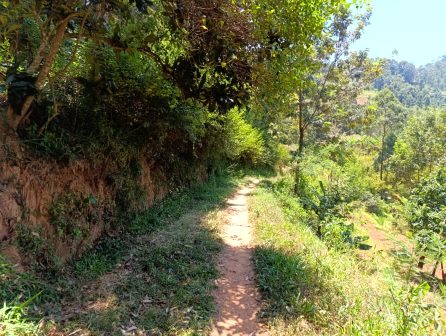 Ilovoto Falls(山地 / 岩石 / 瀑布 / 观景点)-非行家旅行-Africa Wild Wander