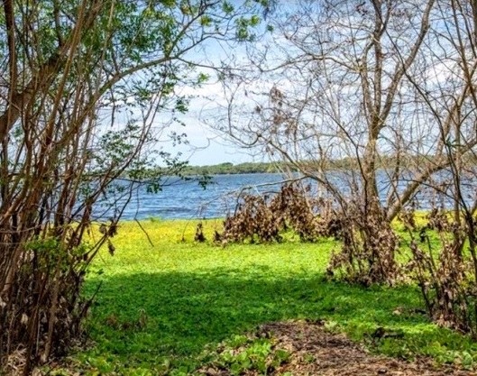 Lake Kenyatta（水系 / 红树林）-非行家旅行-Africa Wild Wander