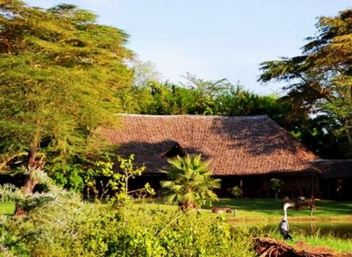 Ndolwa House（保护地 / 私营保护区）-非行家旅行-Africa Wild Wander