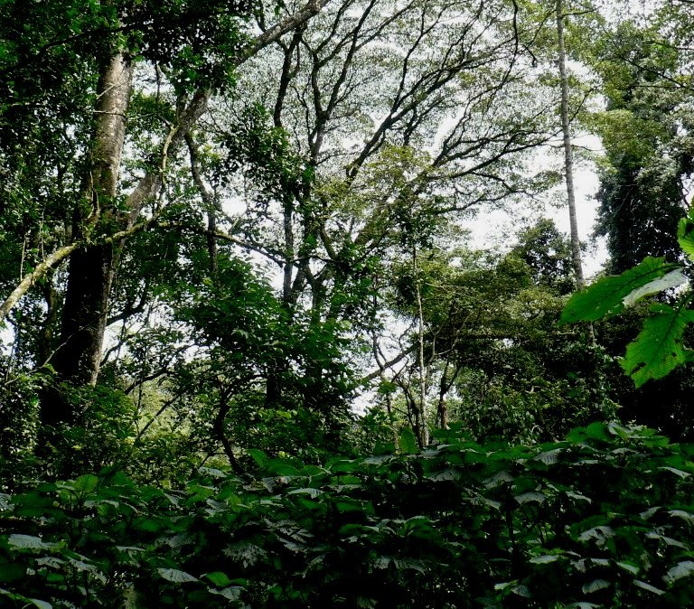 Lirhanda Cave（利尔汉达洞穴）-非行家旅行-Africa Wild Wander
