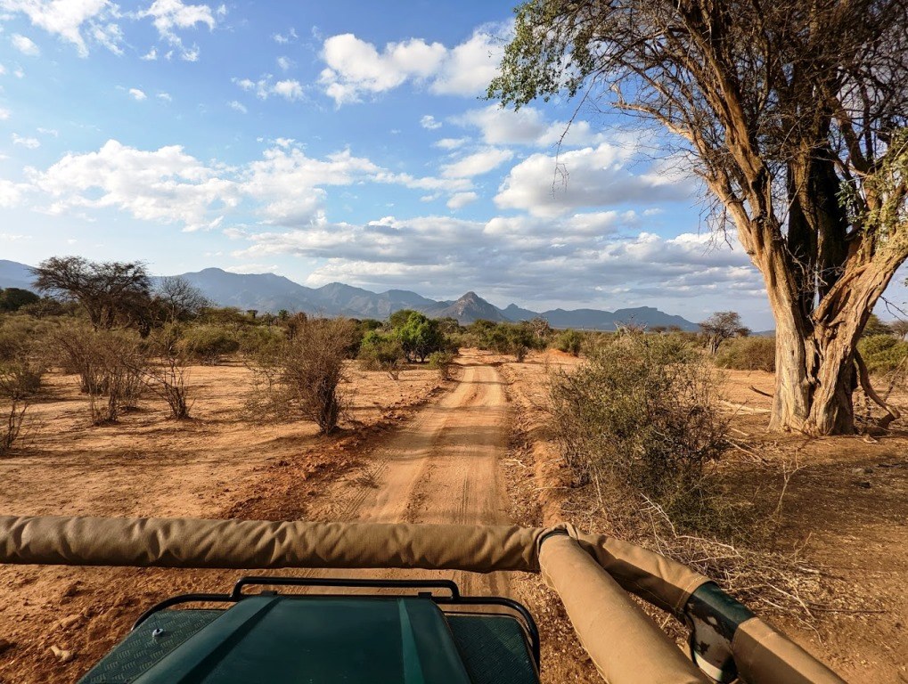 Namunyak Conservancy（纳穆尼亚克社区保护地）-非行家旅行-Africa Wild Wander